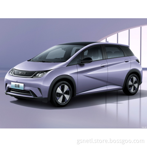 Cool byd Dolphin pure electric driving range long life battery Fast charge power